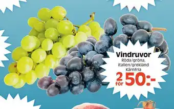 Götgatsbacken Vindruvor erbjuda