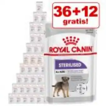 Zooplus 36 + 12 på köpet! 48 x 85 g royal canin ccn dermacomfort våtfoder erbjuda
