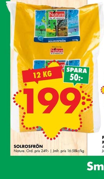 ÖoB Nature solrosfrön erbjuda