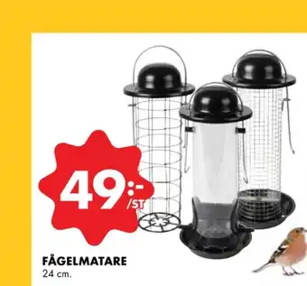 Cesar fågelmatare
