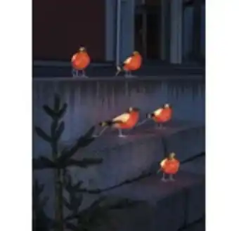 Hornbach Domherrar konstsmide 40 kallvita led 12cm akryl 5st ip44 erbjuda