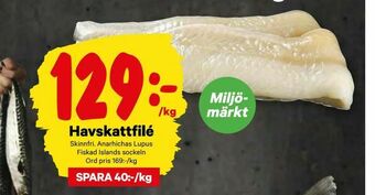Havskattfilé