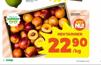 Coop Extra Nektariner erbjuda