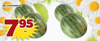 Hel vattenmelon