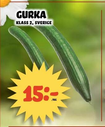 Nelins Gurka erbjuda