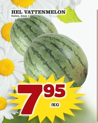 Supergrossen Hel vattenmelon erbjuda