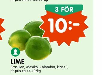 Tempo Lime erbjuda