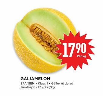 Willys Galiamelon erbjuda