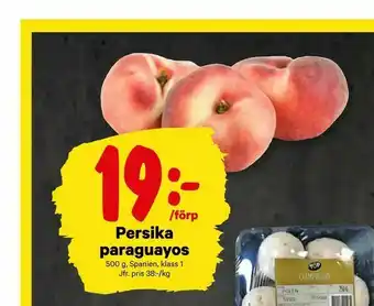 Persika paraguayos