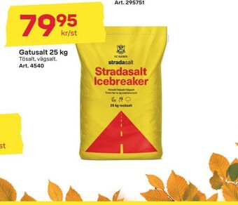 Byggmax Gatusalt 25 kg erbjuda