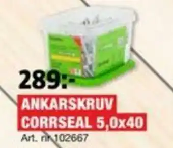 Bauhaus Ankarskruv Corrseal 5,0x40 erbjuda