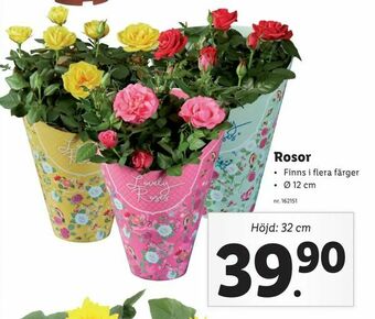 Lidl Rosor erbjuda