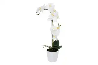 Vit orkidea 51 cm på vit kruka