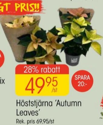 EKO Nivo plantor erbjuda