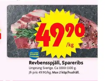 Revbensspjäll