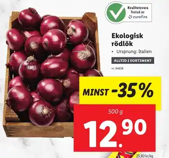 Ekologisk Rödlök