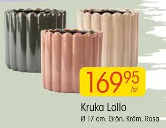 EKO Kruka lollo erbjuda