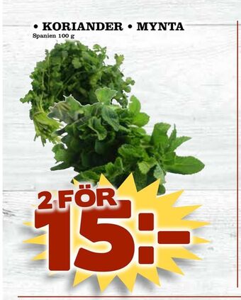Matdax Koriander • mynta erbjuda