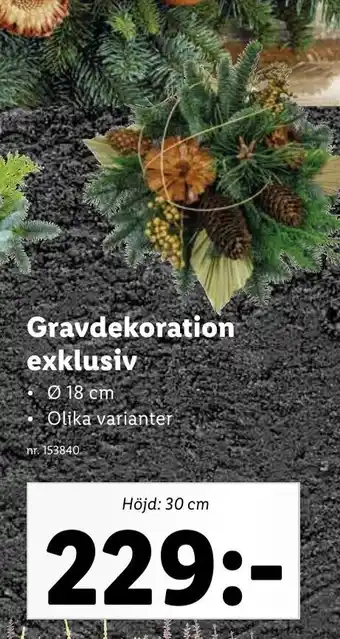 Lidl Gravdekoration Exklusiv erbjuda