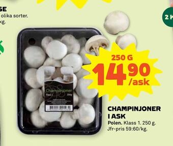 Stora Coop Champinjoner i ask erbjuda
