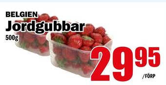 Matdax Jordgubbar erbjuda