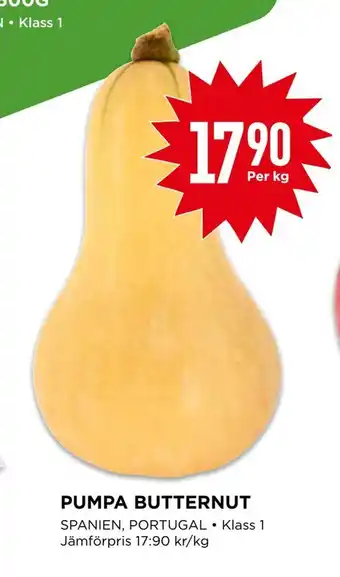 Pumpa butternut