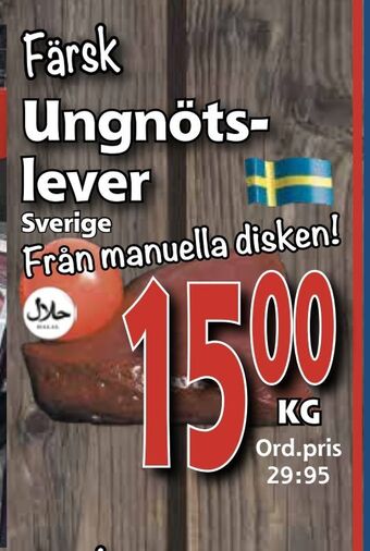 Supergrossen Ungnötslever erbjuda