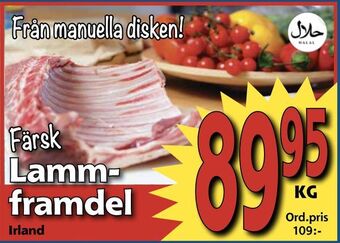 Supergrossen Lammframdel erbjuda