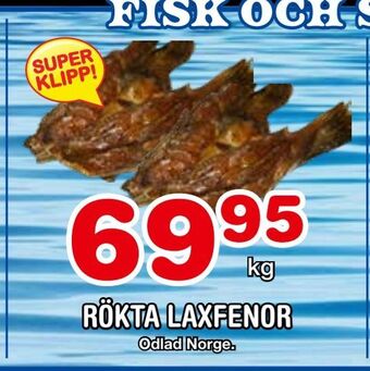 Nya Pulsen Rökta laxfenor erbjuda