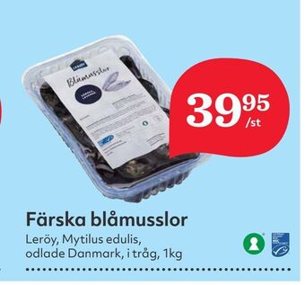 Hemköp Färska blåmusslor erbjuda