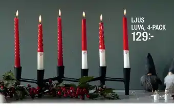 Ljus luva 4-pack