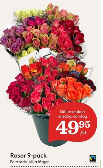 Hemköp Rosor 9-pack erbjuda