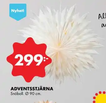 ÖoB Manitoba cream adventsstjärna erbjuda