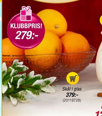 Skål i glas
