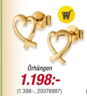 Guldfynd Örhängen erbjuda