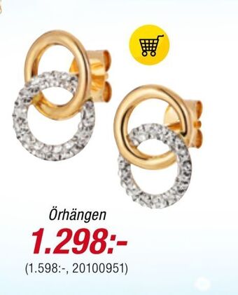 Guldfynd Örhängen erbjuda