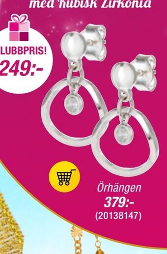Guldfynd Örhängen erbjuda