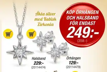 Örhängen + halsband