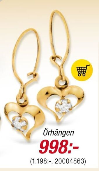 Guldfynd Örhängen erbjuda