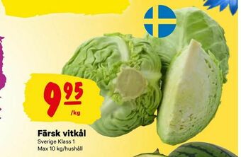 Färsk vitkål