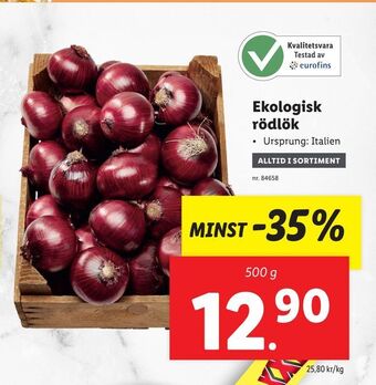 Ekologisk rödlök