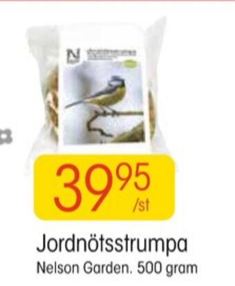 EKO Nelson garden fågelmat erbjuda