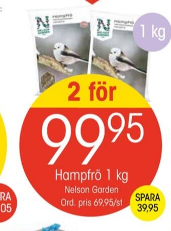 EKO Nelson garden hampfrön erbjuda
