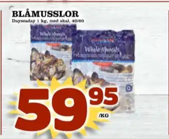Matdax Dayseaday blåmusslor erbjuda