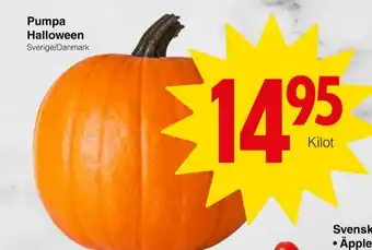 Findus pumpa