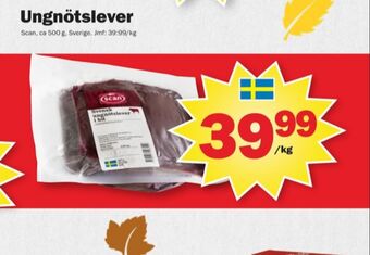 Pekås Scan ungnötslever erbjuda