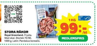 Stora räkor