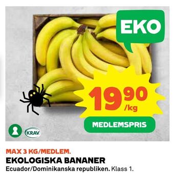 Ekologiska bananer
