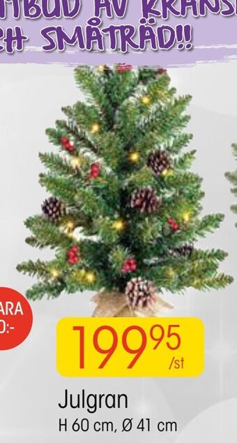 EKO Julgran erbjuda