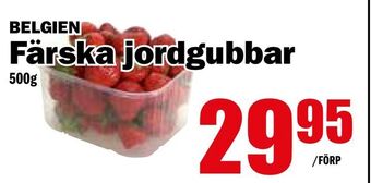 Matdax Färska jordgubbar erbjuda